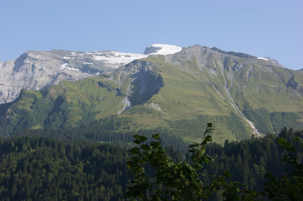 Hotel Schweizerhof เอนเกลเบิร์ก ภายนอก รูปภาพ