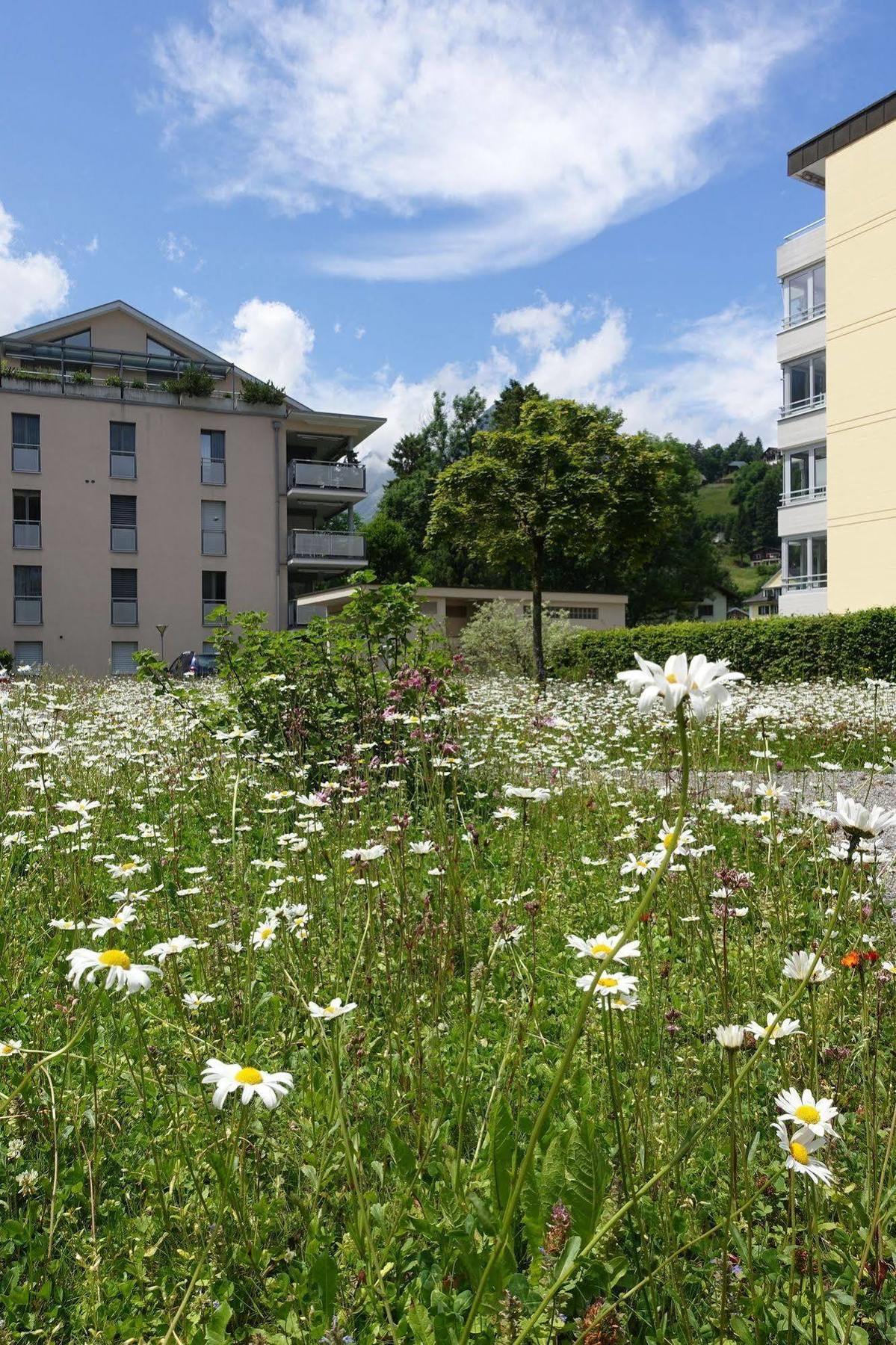 Hotel Schweizerhof เอนเกลเบิร์ก ภายนอก รูปภาพ